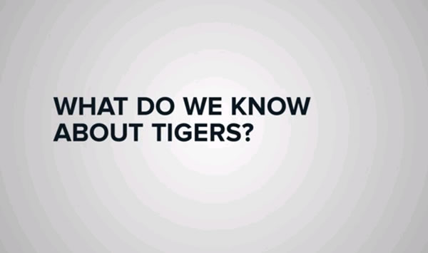 【動画】WWFが実施する、トラの絶滅を救う募金アイデアが秀逸すぎる。